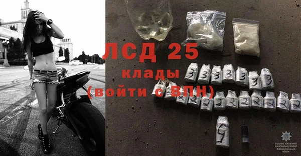 трава Арсеньев