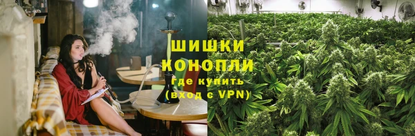 трава Арсеньев