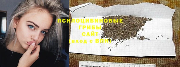 трава Арсеньев
