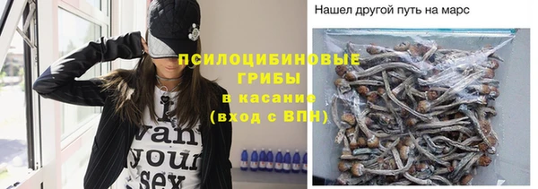MESCALINE Аркадак