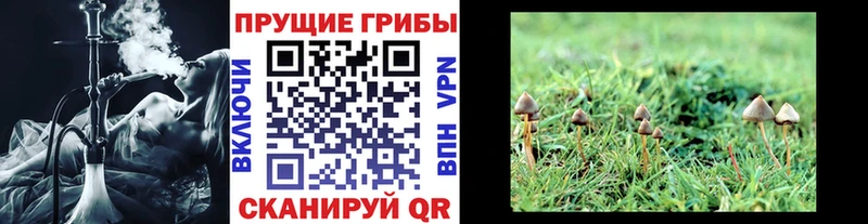 mega   Дедовск  Галлюциногенные грибы мицелий  наркошоп 