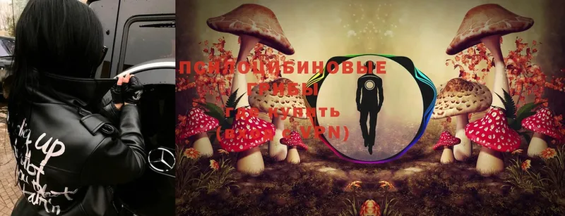 Галлюциногенные грибы Magic Shrooms  shop Telegram  Дедовск  мега ССЫЛКА 